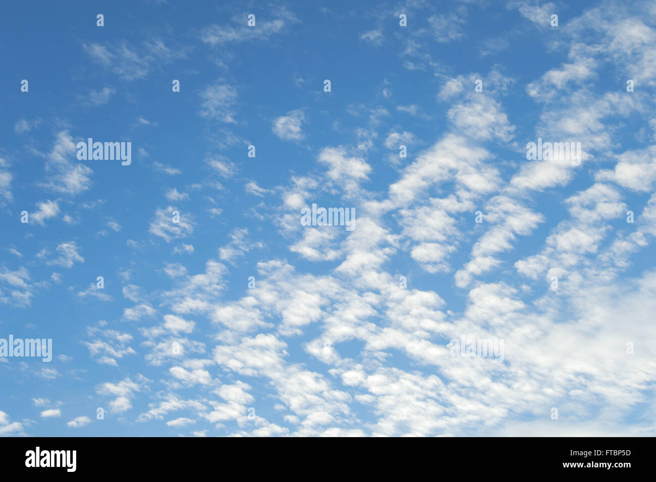 Sign of good weather high Cumulus or Altocumulus clouds in deep blue spring sky Stock Photo