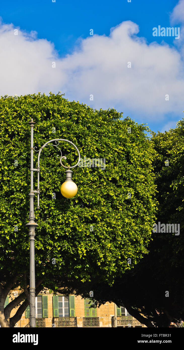 Lantern in front of a tree at street of Cagliari downtown, Sardinia Stock Photo