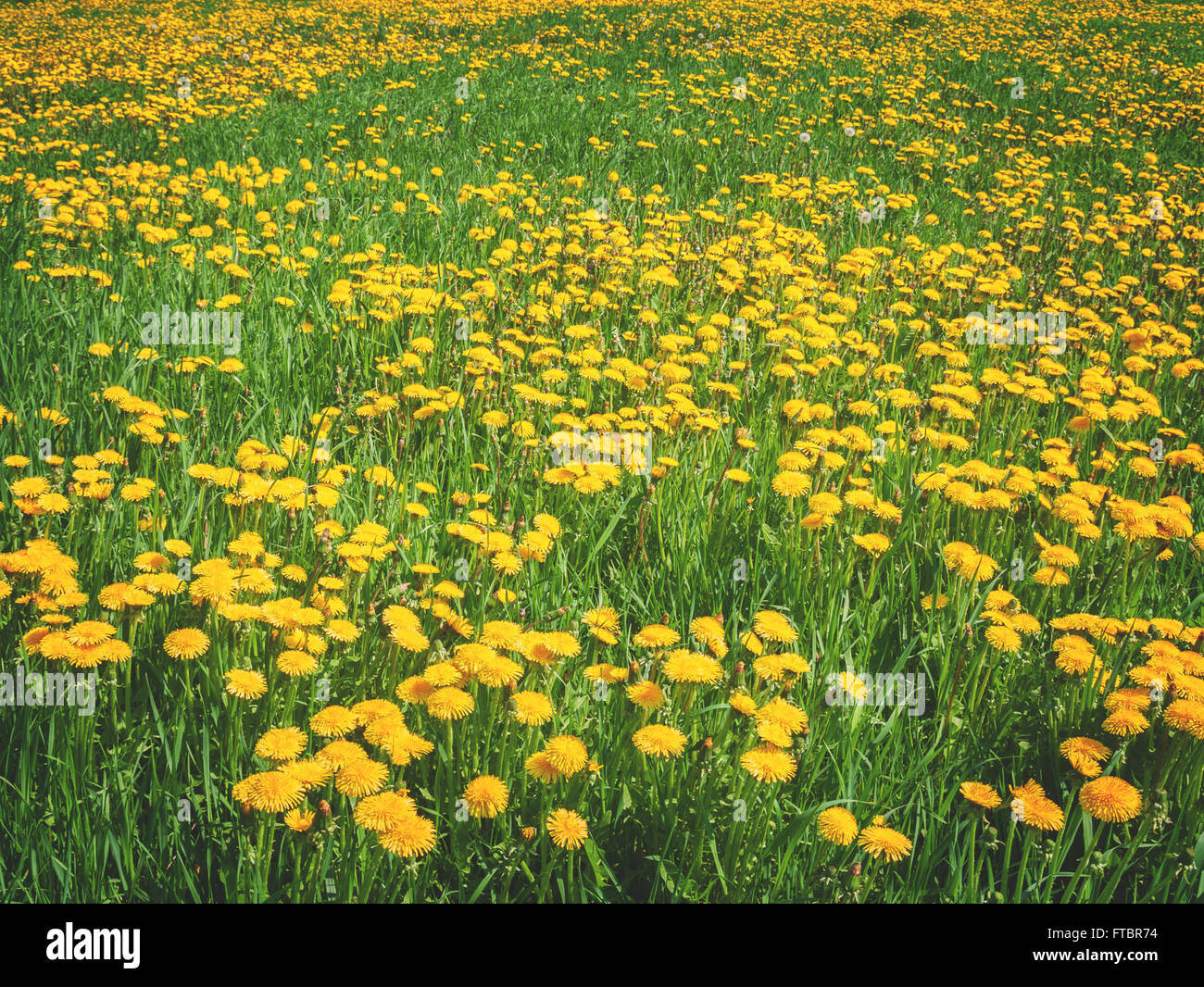 Sumer Before Spring Gl Spring sumer hi-res stock photography and images - Alamy