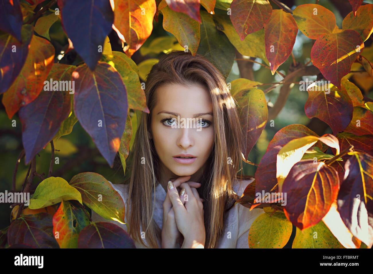 Beautiful girl portrait . Last autumn colors Stock Photo