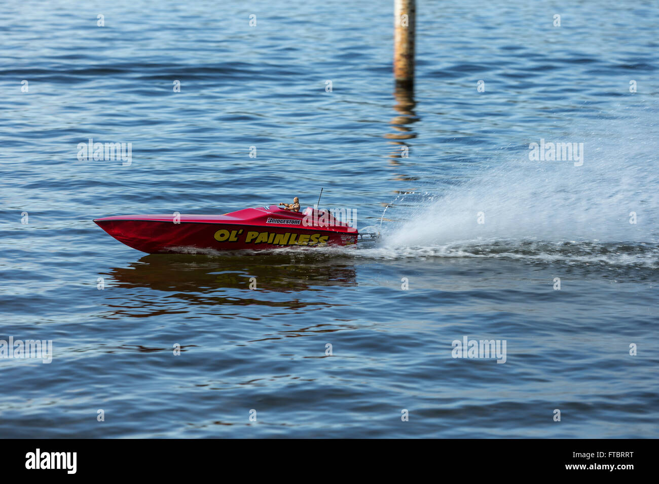 Remote controlled speedboat speeding along Elk Lake-Victoria, British Columbia, Canada. Stock Photo