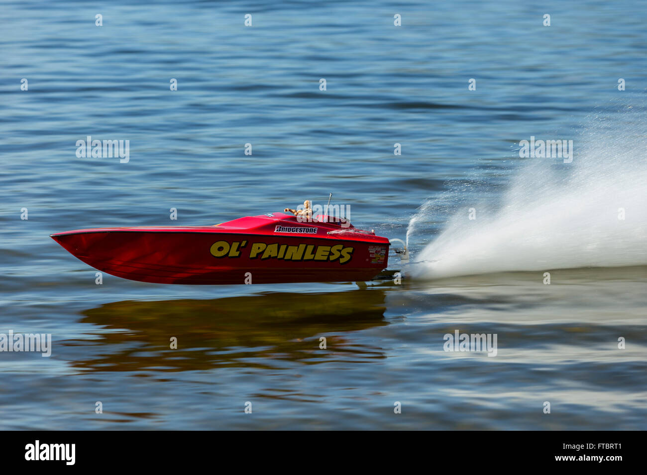 Remote controlled speedboat speeding along Elk Lake-Victoria, British Columbia, Canada. Stock Photo