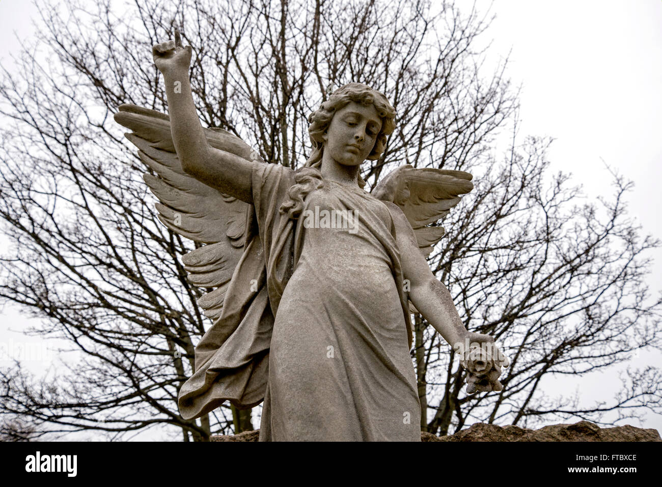 An angel holding a rose and pointing to the heavens in Grange Cemetery, Edinburgh. Stock Photo