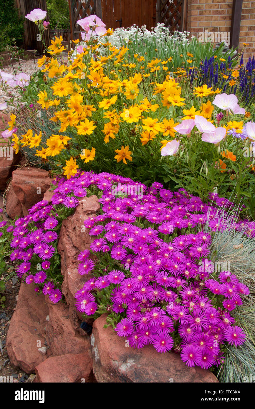 Gardeners rock garden in early hi-res stock photography and images - Alamy