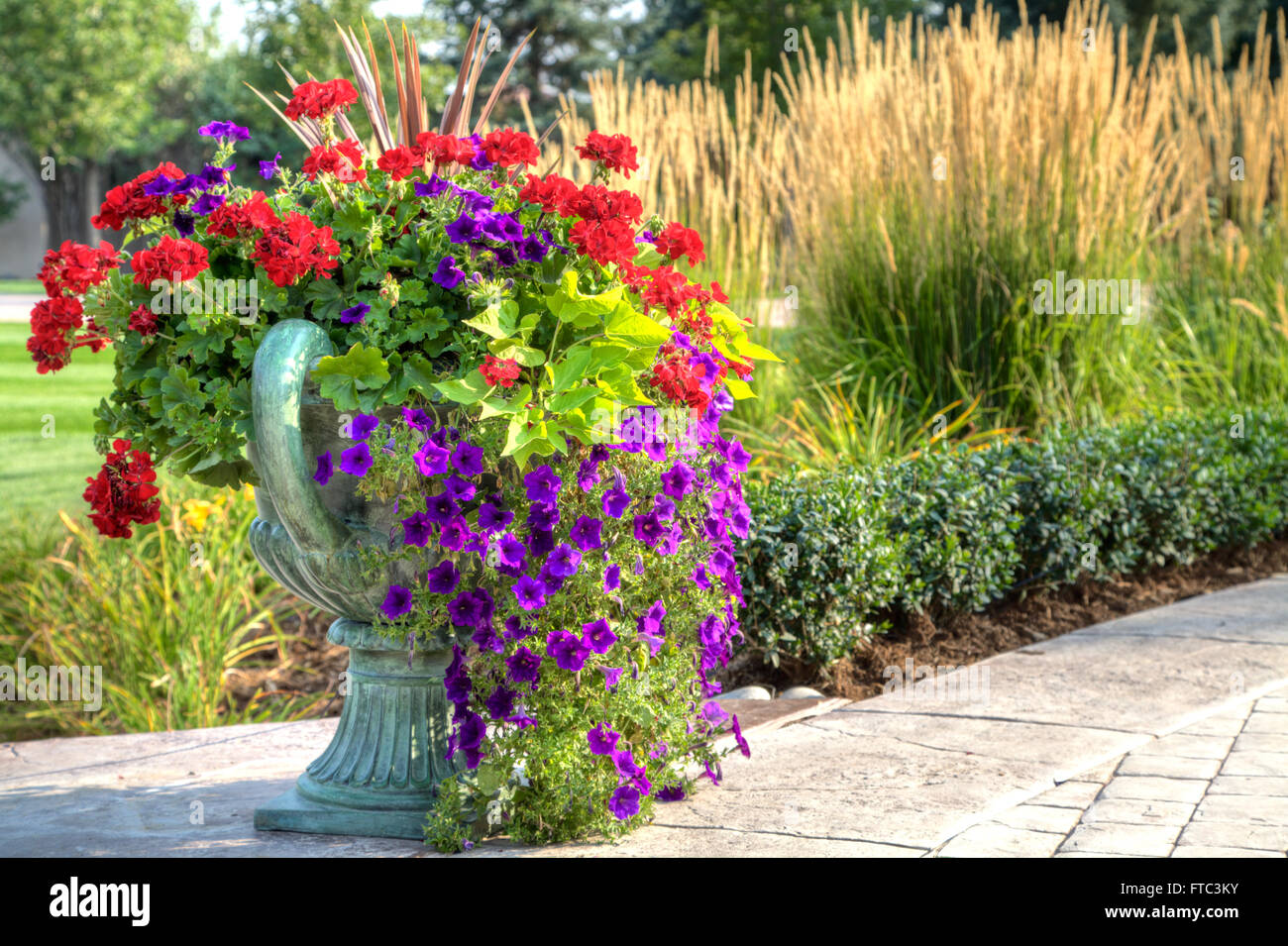 An urn overflowing with annual plants Stock Photo