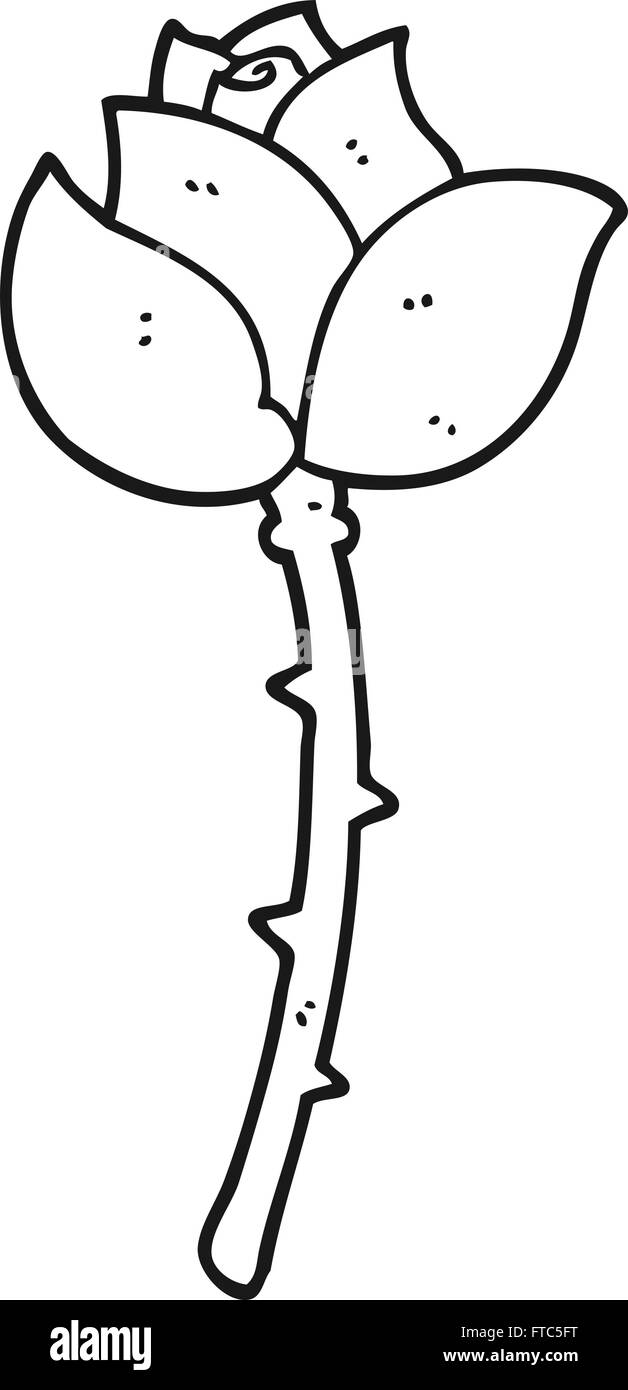 freehand drawn black and white cartoon rose Stock Vector Image & Art