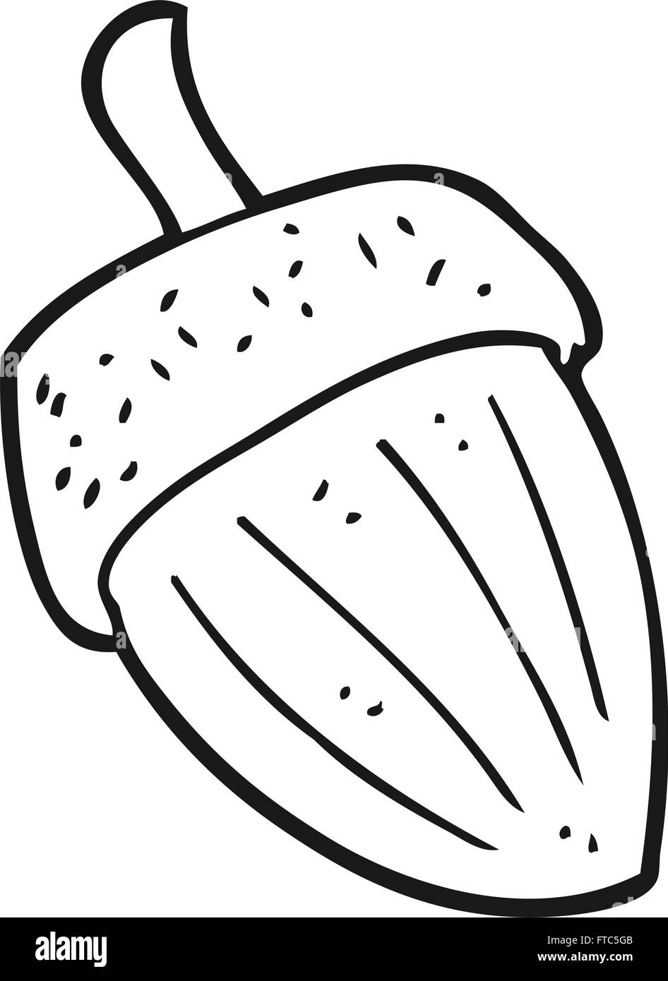 freehand drawn black and white cartoon acorn Stock Vector Image & Art ...