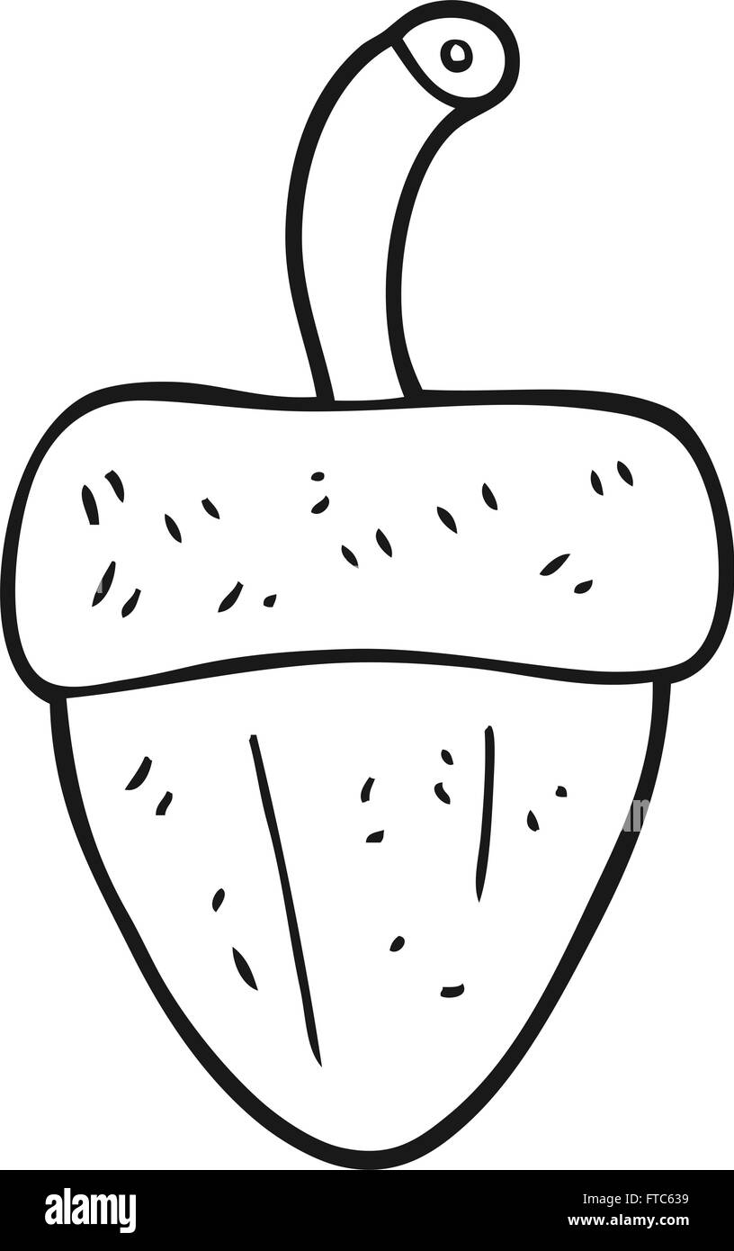 freehand drawn black and white cartoon acorn Stock Vector Image & Art ...