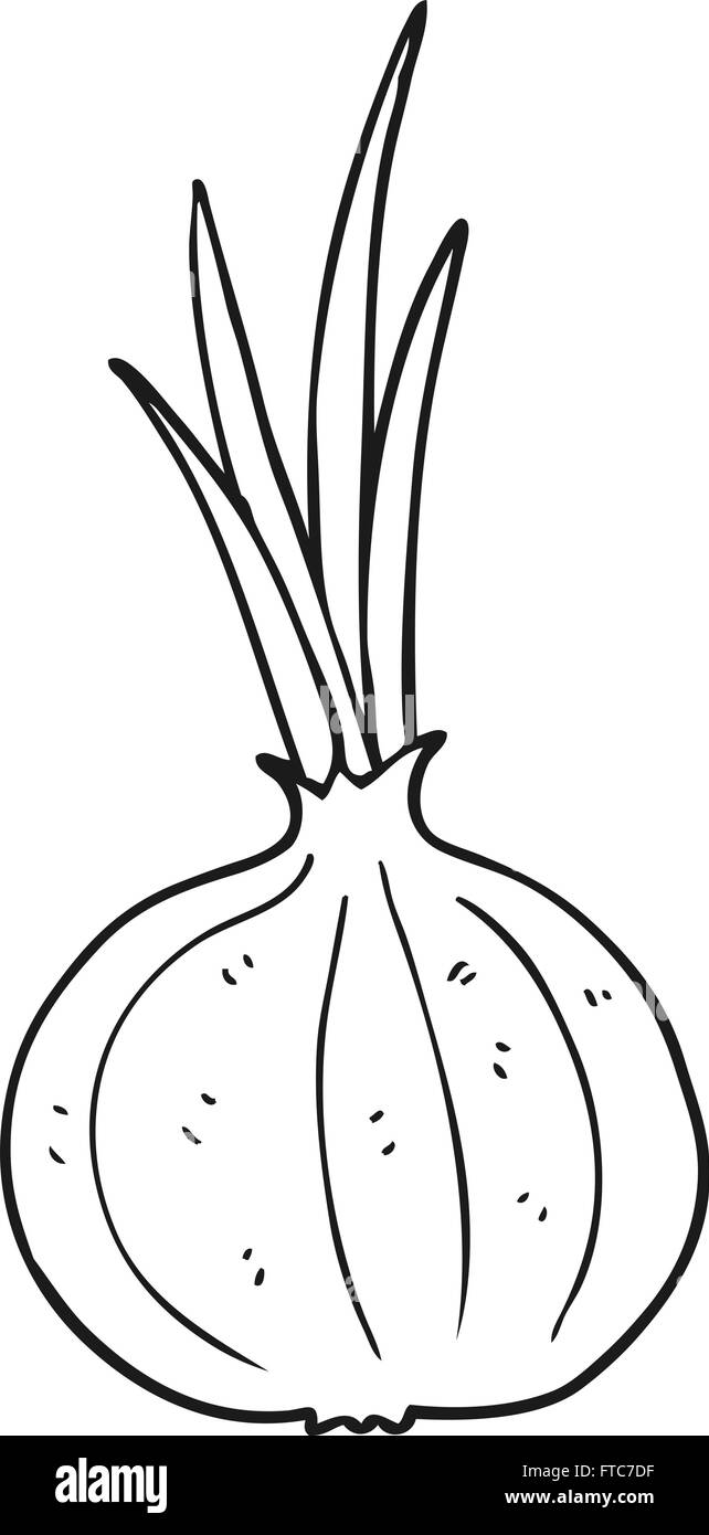 freehand drawn black and white cartoon onion Stock Vector Image & Art