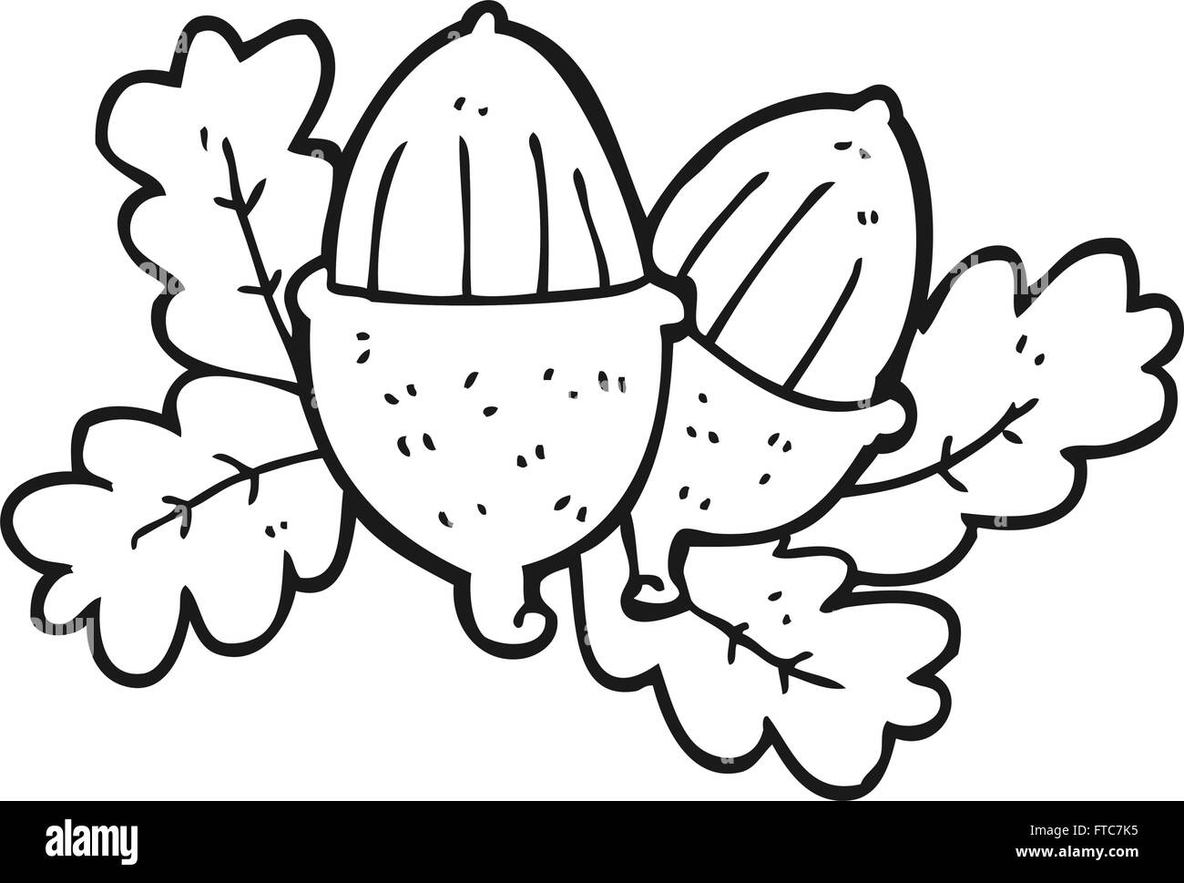 freehand drawn black and white cartoon acorns Stock Vector Image & Art ...