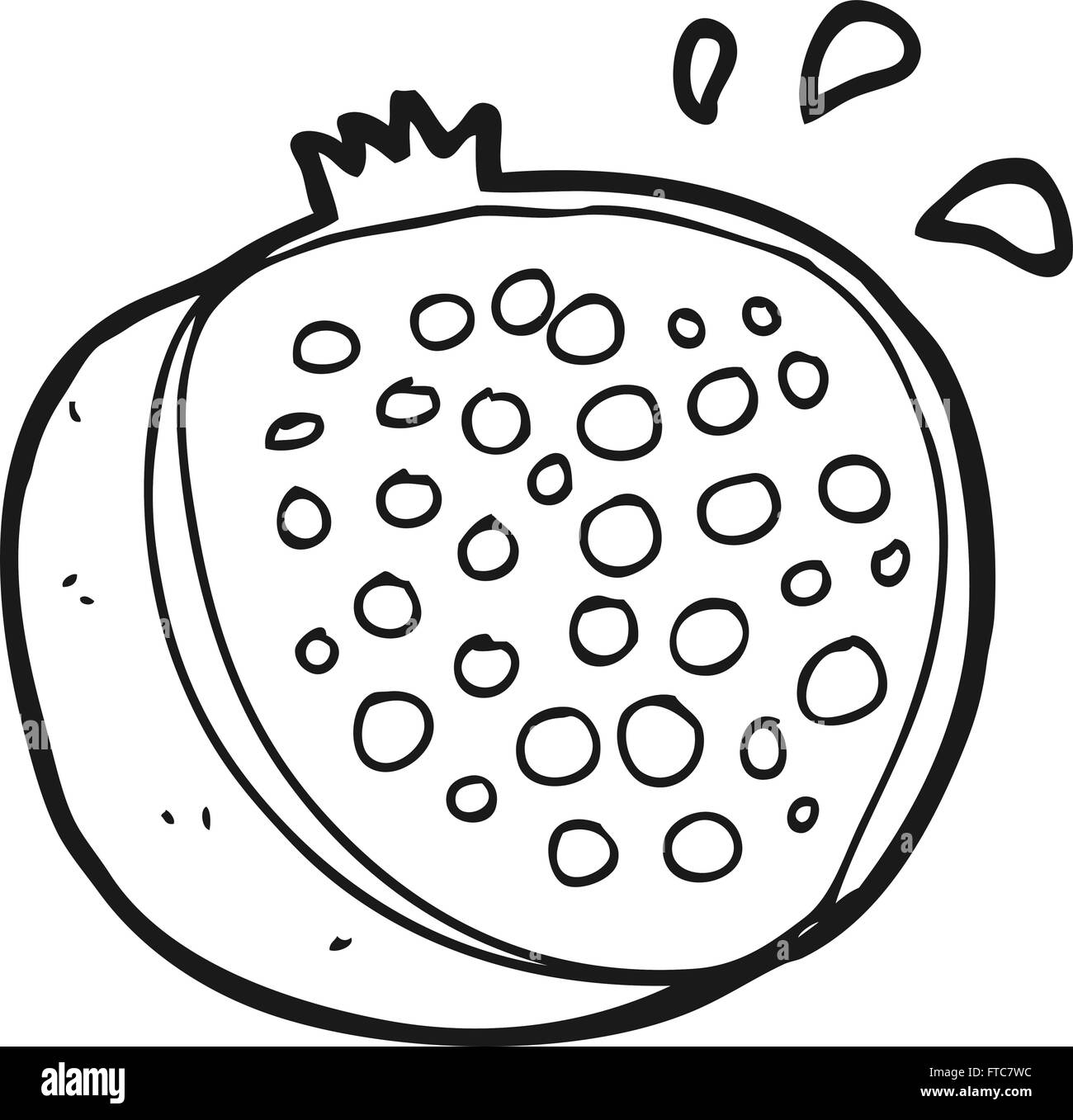 freehand drawn black and white cartoon pomegranate Stock Vector Image