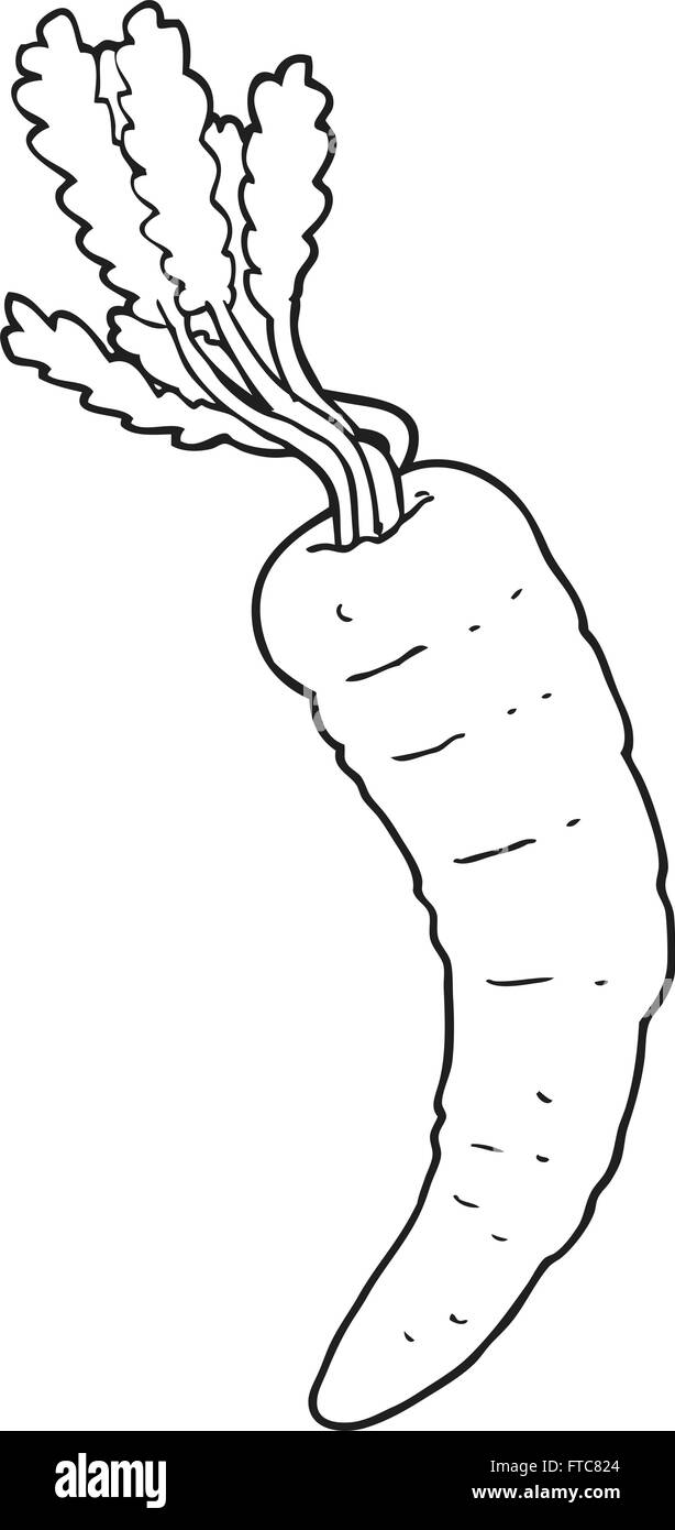 freehand drawn black and white cartoon carrot Stock Vector Image & Art
