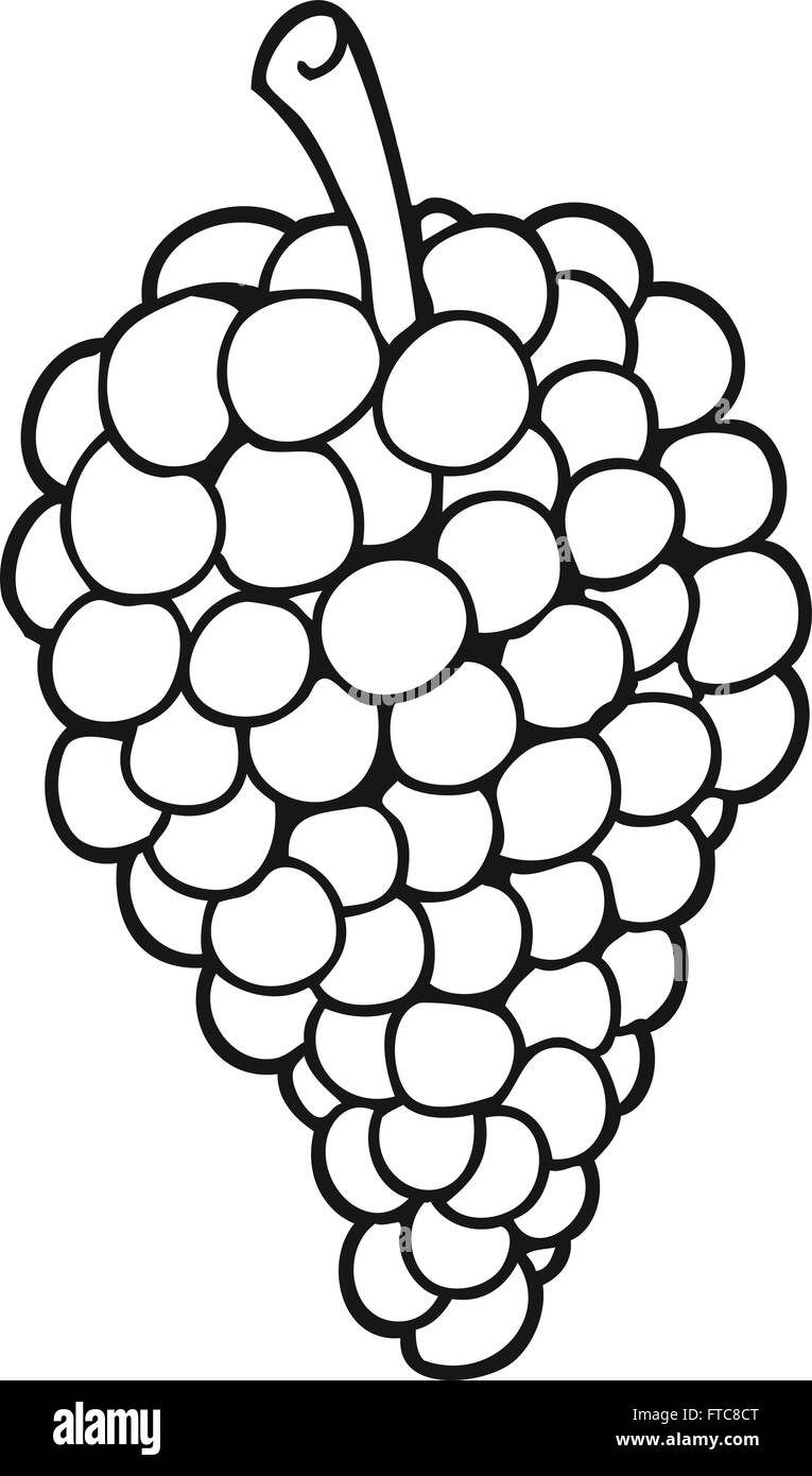 freehand drawn black and white cartoon grapes Stock Vector Image & Art -  Alamy