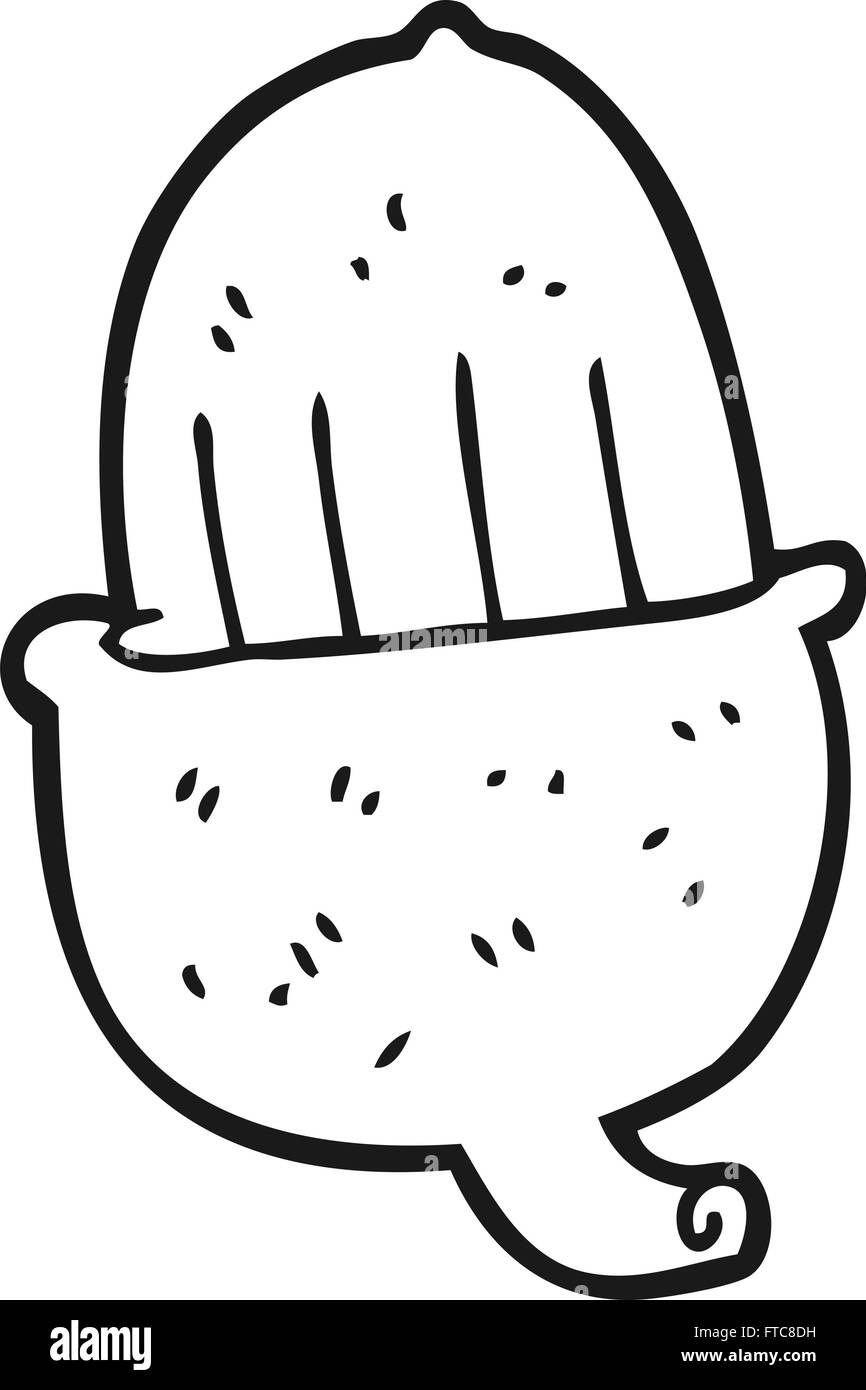 freehand drawn black and white cartoon acorn Stock Vector Image & Art ...