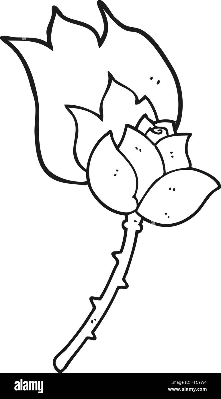 freehand drawn black and white cartoon rose Stock Vector Image & Art