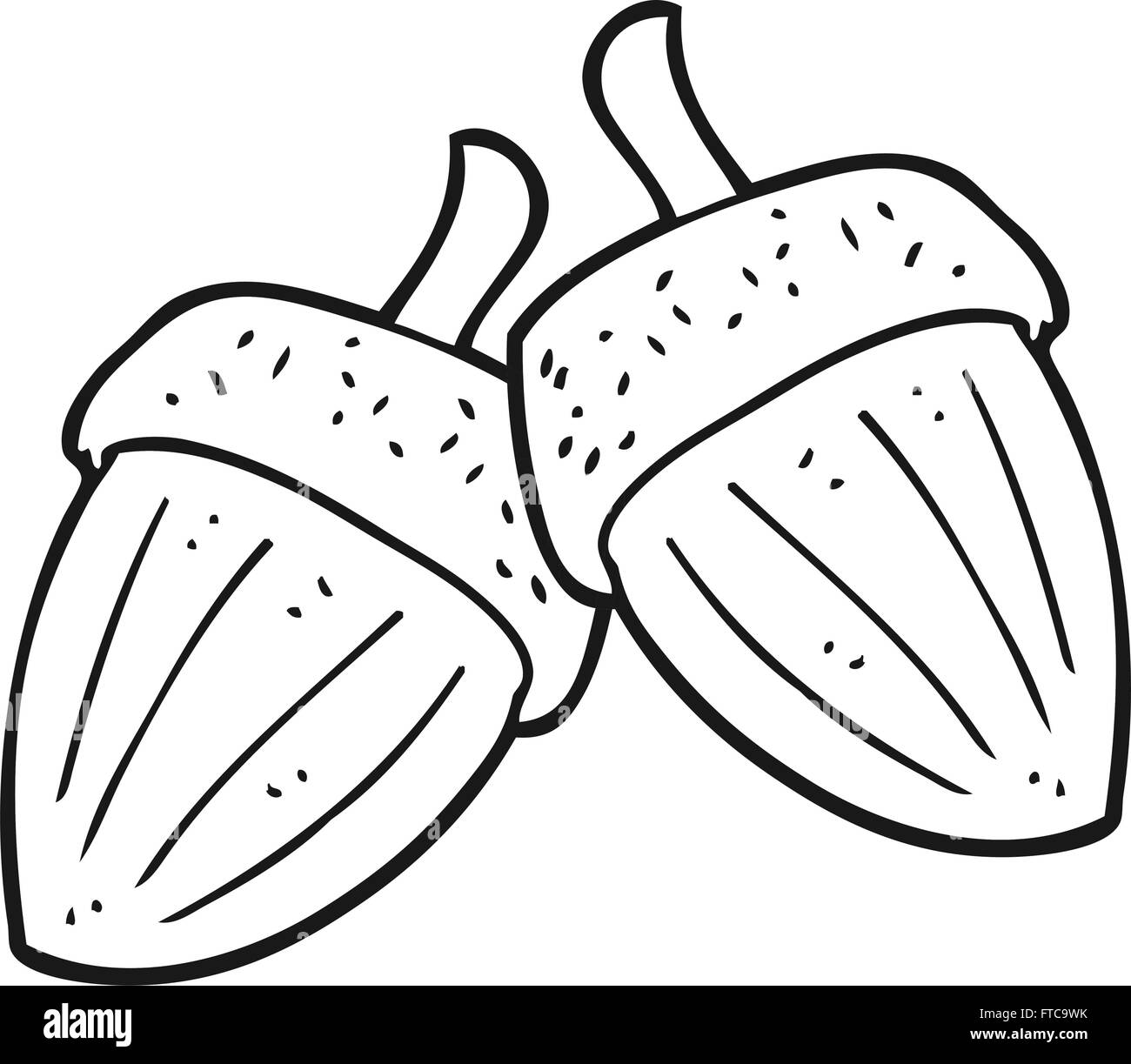 freehand drawn black and white cartoon acorns Stock Vector Image & Art ...