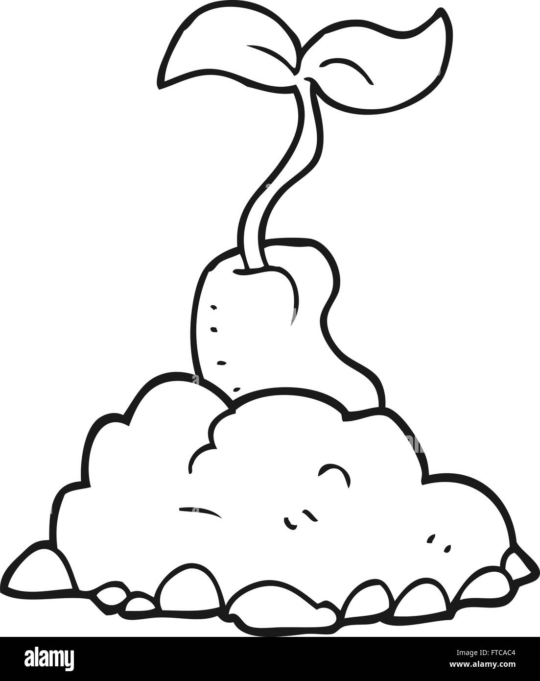 Seed germinating Black and White Stock Photos & Images - Alamy