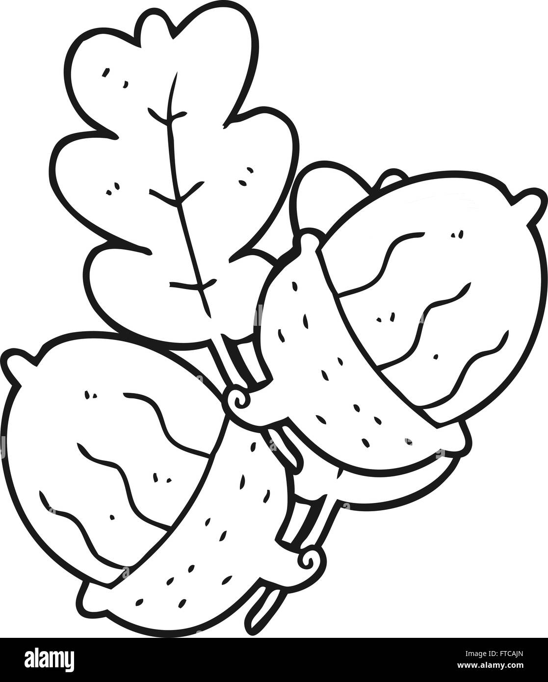 freehand drawn black and white cartoon acorns Stock Vector Image & Art ...