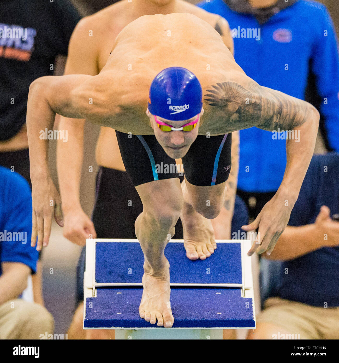 Florida swimmer Caeleb Dressel during the NCAA Men's Swimming and