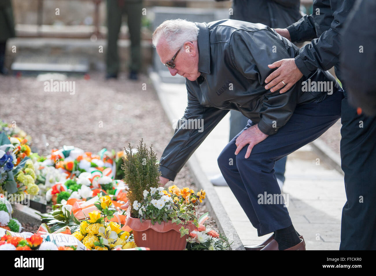 Falls Road, Belfast,UK 27th March 2016 An Elder man lays Flowers at the Republican plot in milltown Cemetery at the Easter Rising 100th Anniversary  Parade Credit:  Bonzo/Alamy Live News Stock Photo