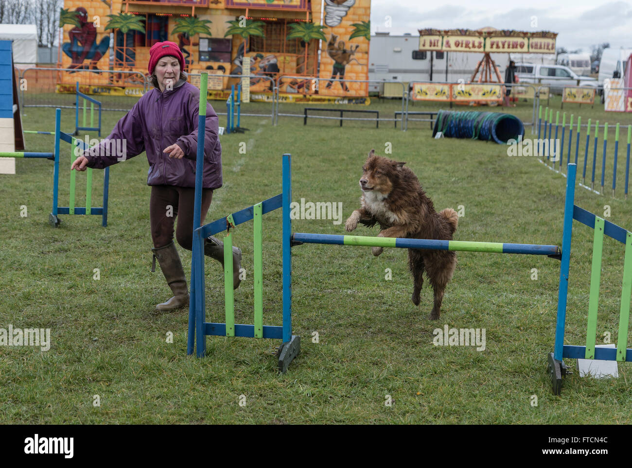 The Living Heritage Country show.People bring their dogs to the agility dog trials. Credit:  Scott Carruthers/Alamy Live News Stock Photo