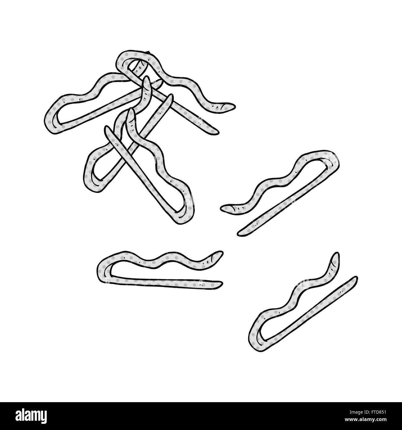 freehand drawn cartoon hair clips Stock Vector Image & Art Alamy