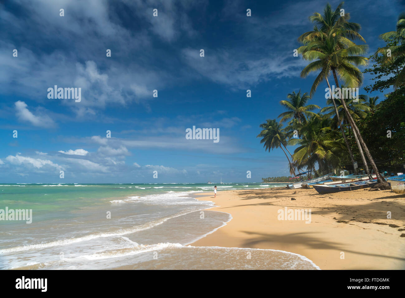 Palm Fringed Beach In Las Terrenas Samana Peninsula Dominican