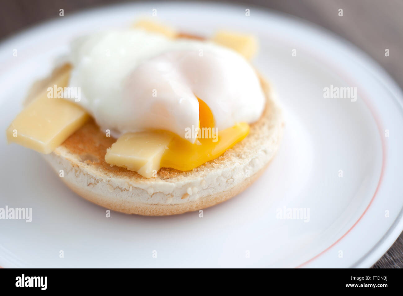 Poached egg on muffin with cheddar cheese. Stock Photo
