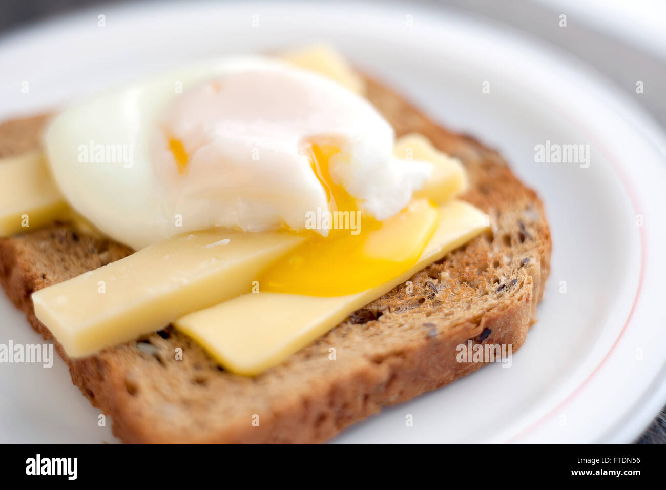 Poached egg on brown bread toast with cheddar cheese. Stock Photo