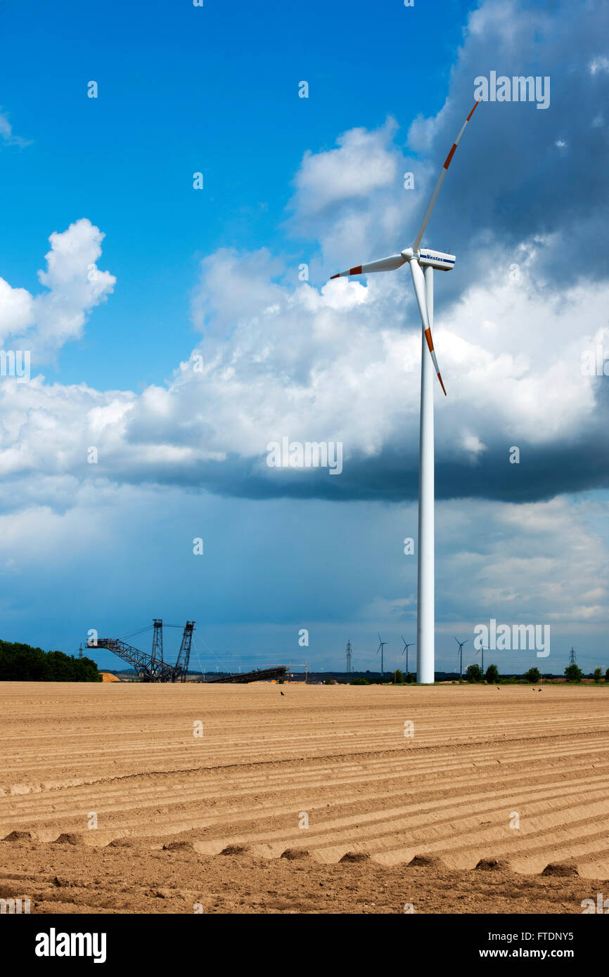 BRD, Deutschland, NRW, Rhein-Kreis Neuss, Windrad auf der Frimmersdorfer Höhe südlich von Grevenbroich Stock Photo