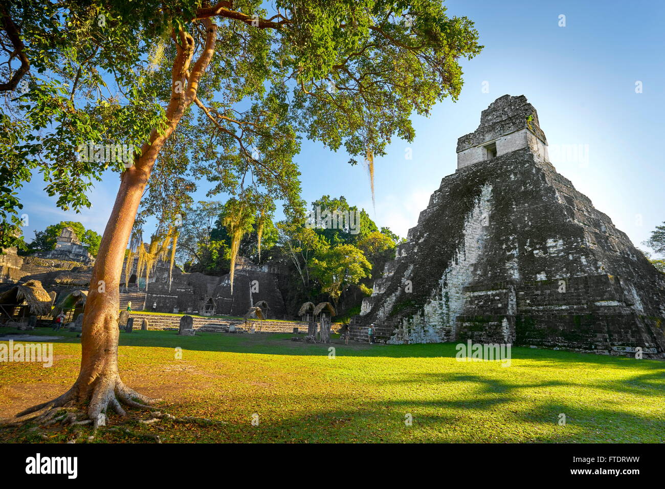 Maya Ruins - Temple of the Great Jaguar, Tikal National Park, Yucatan, Guatemala, UNESCO Stock Photo