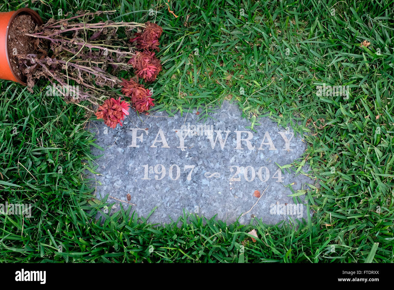 Grave of Fay Wray with dead flowers in Hollywood Forever Cemetery, Los Angeles, California Stock Photo