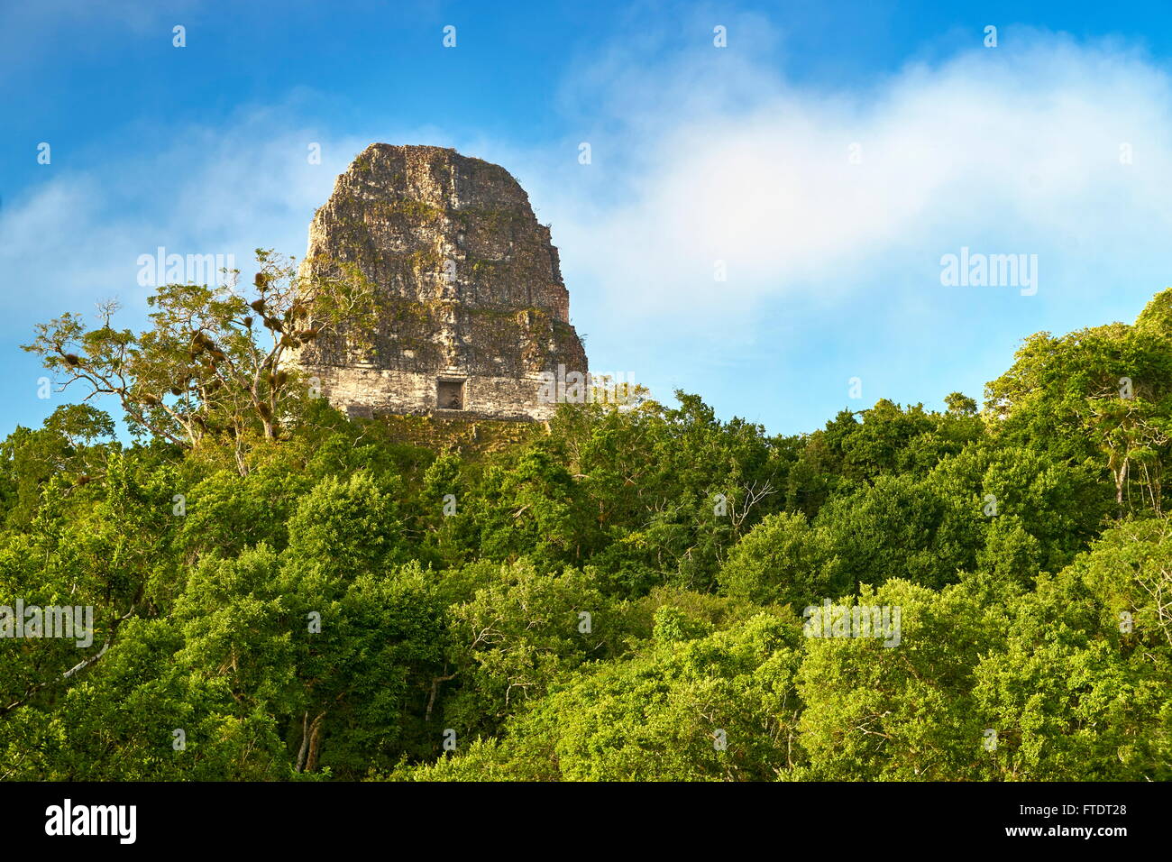 Temple V, Ancient Maya Ruins, Tikal National Park, Yucatan, Guatemala UNESCO Stock Photo