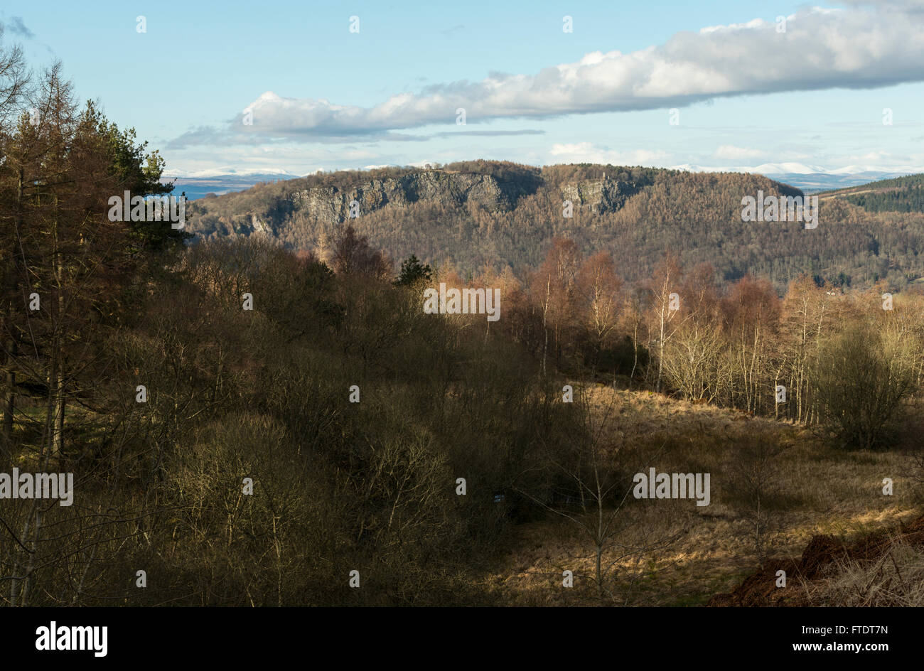 Kinnoull hill woodland park hires stock photography and images Alamy