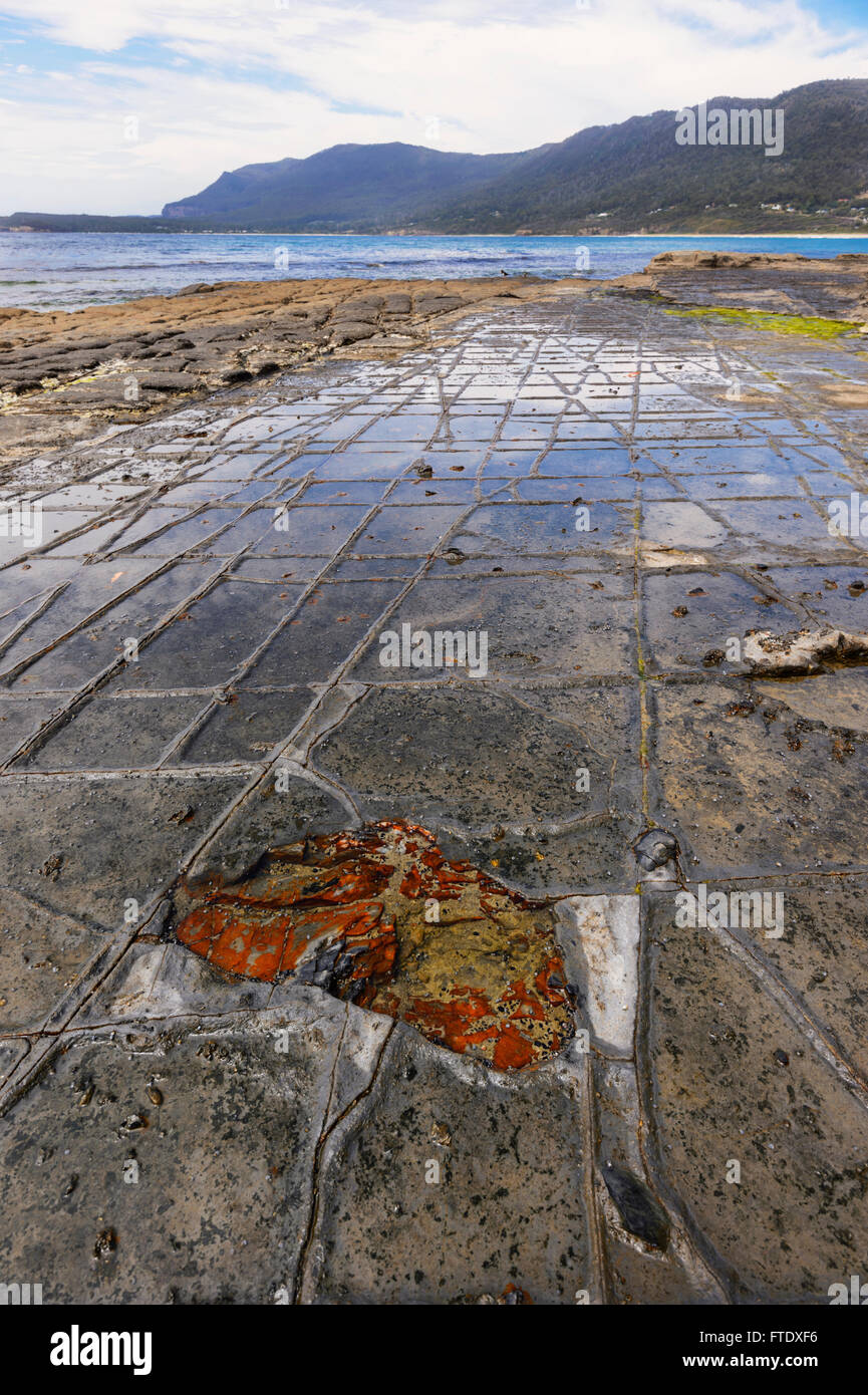 Tessellated Pavement, Eaglehawk Neck, Tasman Peninsula, Tasmania, Australia Stock Photo