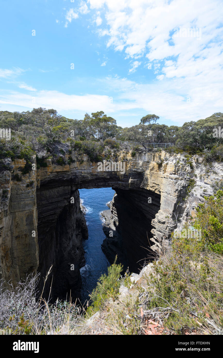 Tasman Arch, Eaglehawk Neck, Tasman Peninsula, Tasmania, Australia