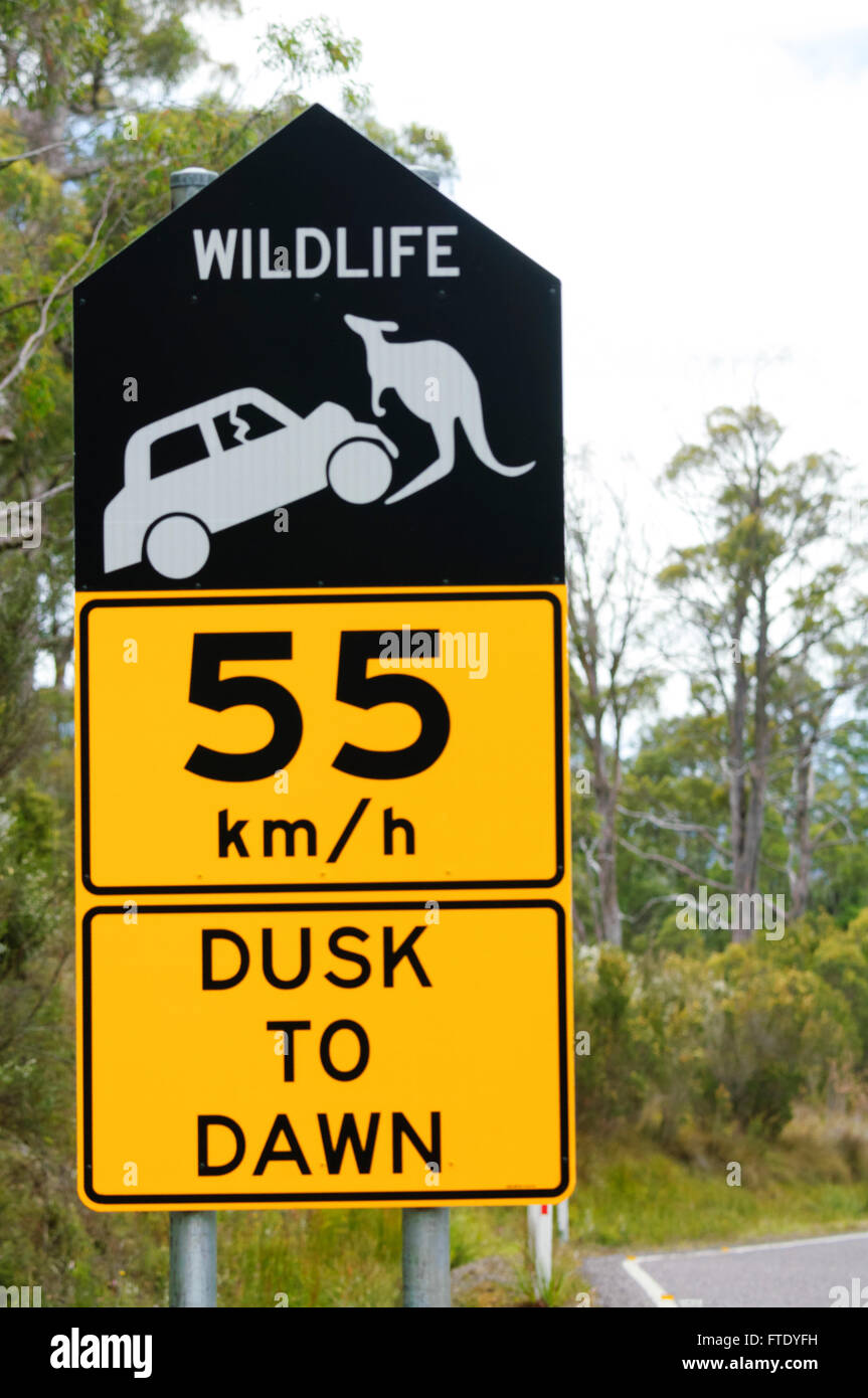 Wildlife Hazard Sign, Tasmania, Australia Stock Photo