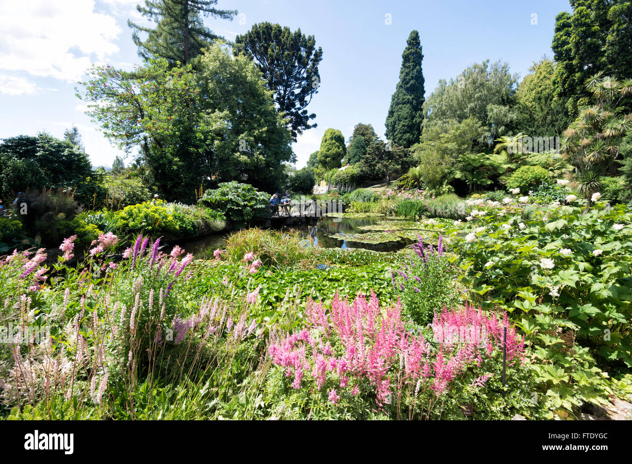 Royal Tasmanian Botanical Gardens, Hobart, Tasmania, Australia Stock Photo