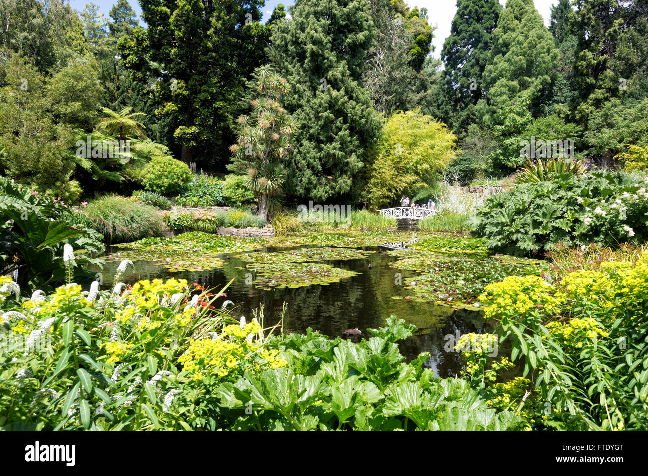 Royal Tasmanian Botanical Gardens, Hobart, Tasmania, Australia Stock Photo