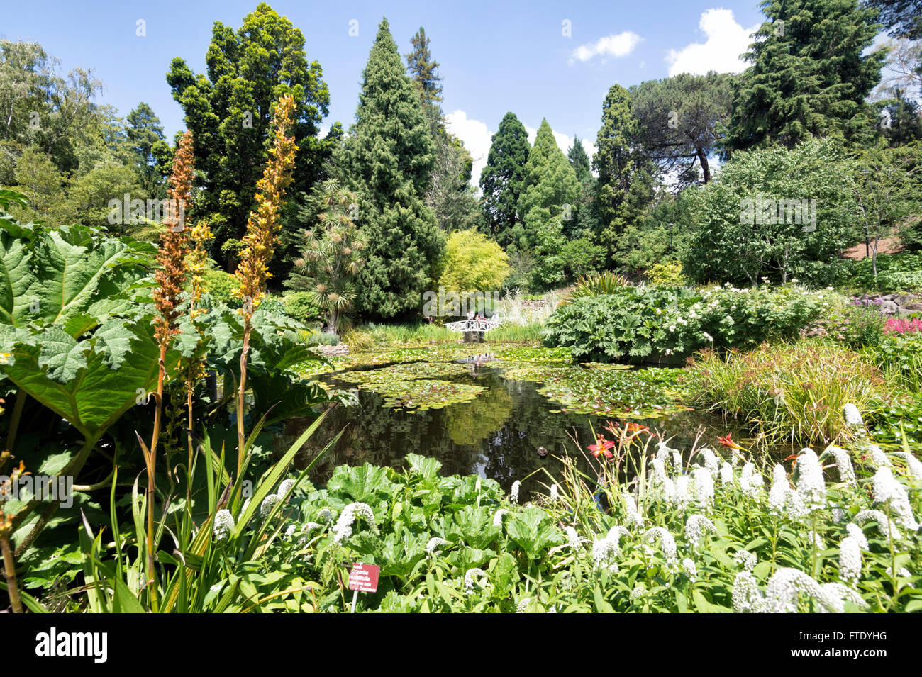 Royal Tasmanian Botanical Gardens, Hobart, Tasmania, Australia Stock Photo