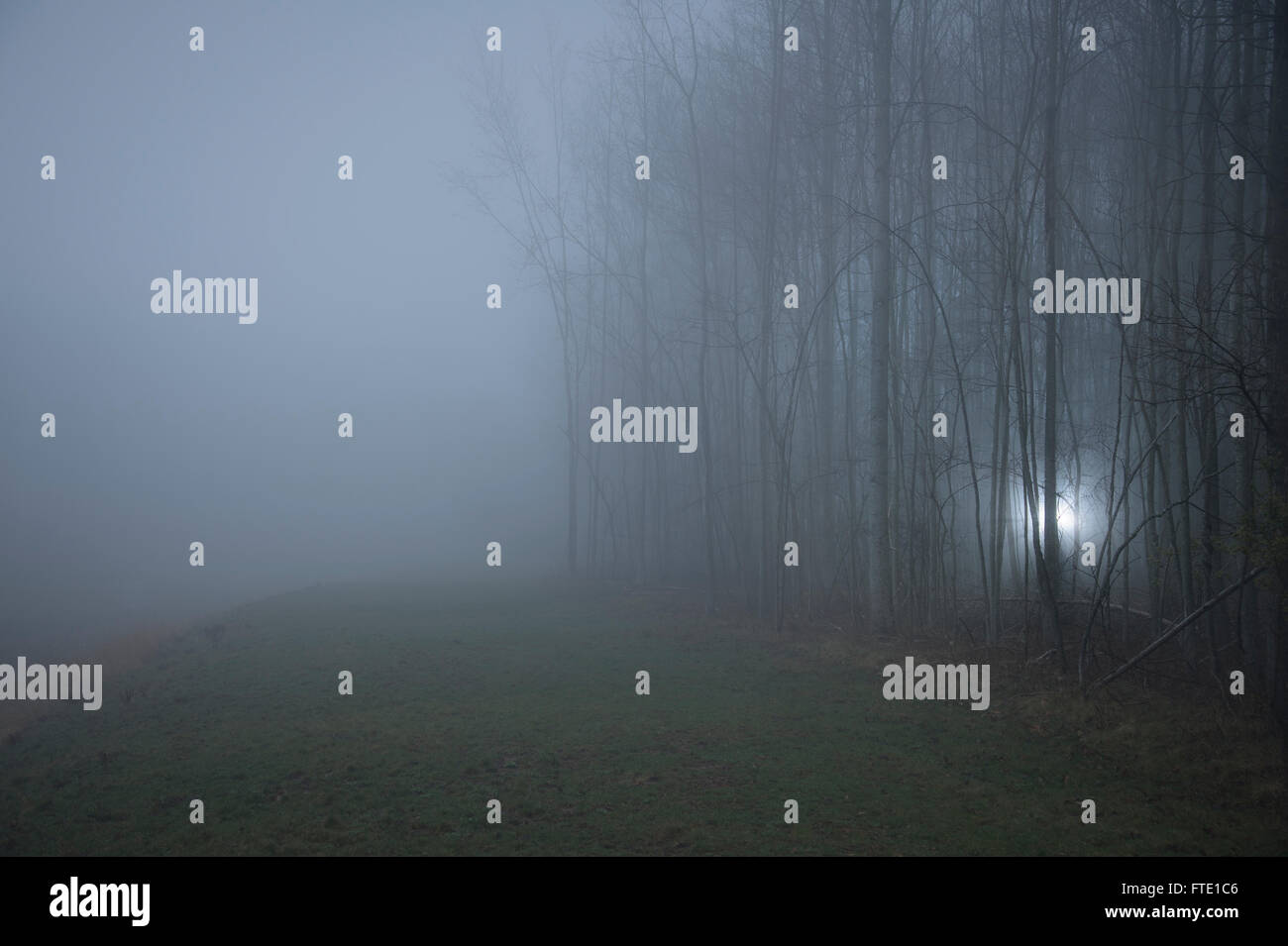 Dark foggy forest trail hi-res stock photography and images - Alamy