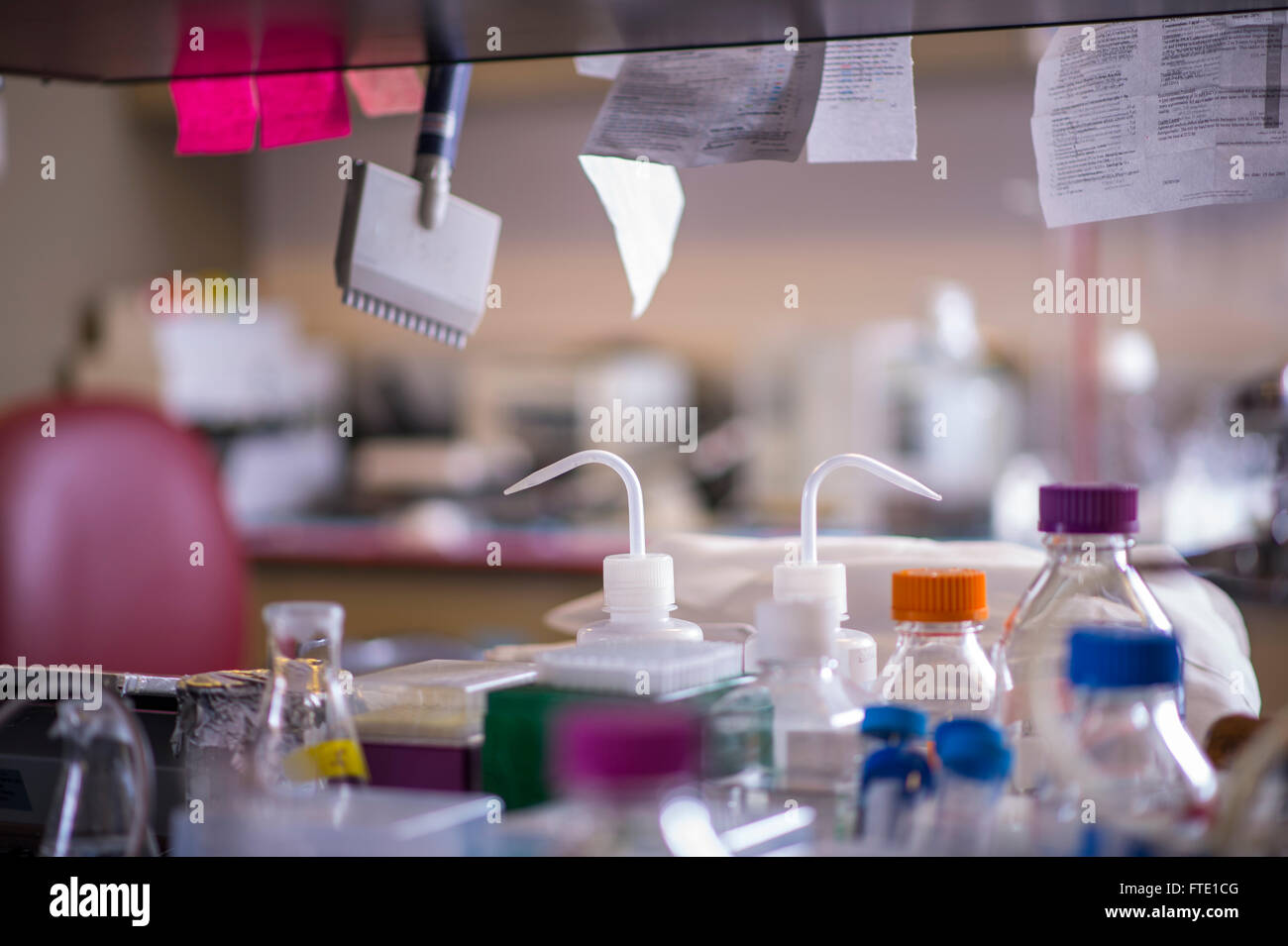 Research Lab Bottles In University Laboratory Stock Photo