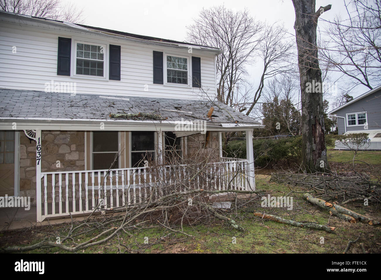 Tree Limbs Falling Storm Damage to House Stock Photo