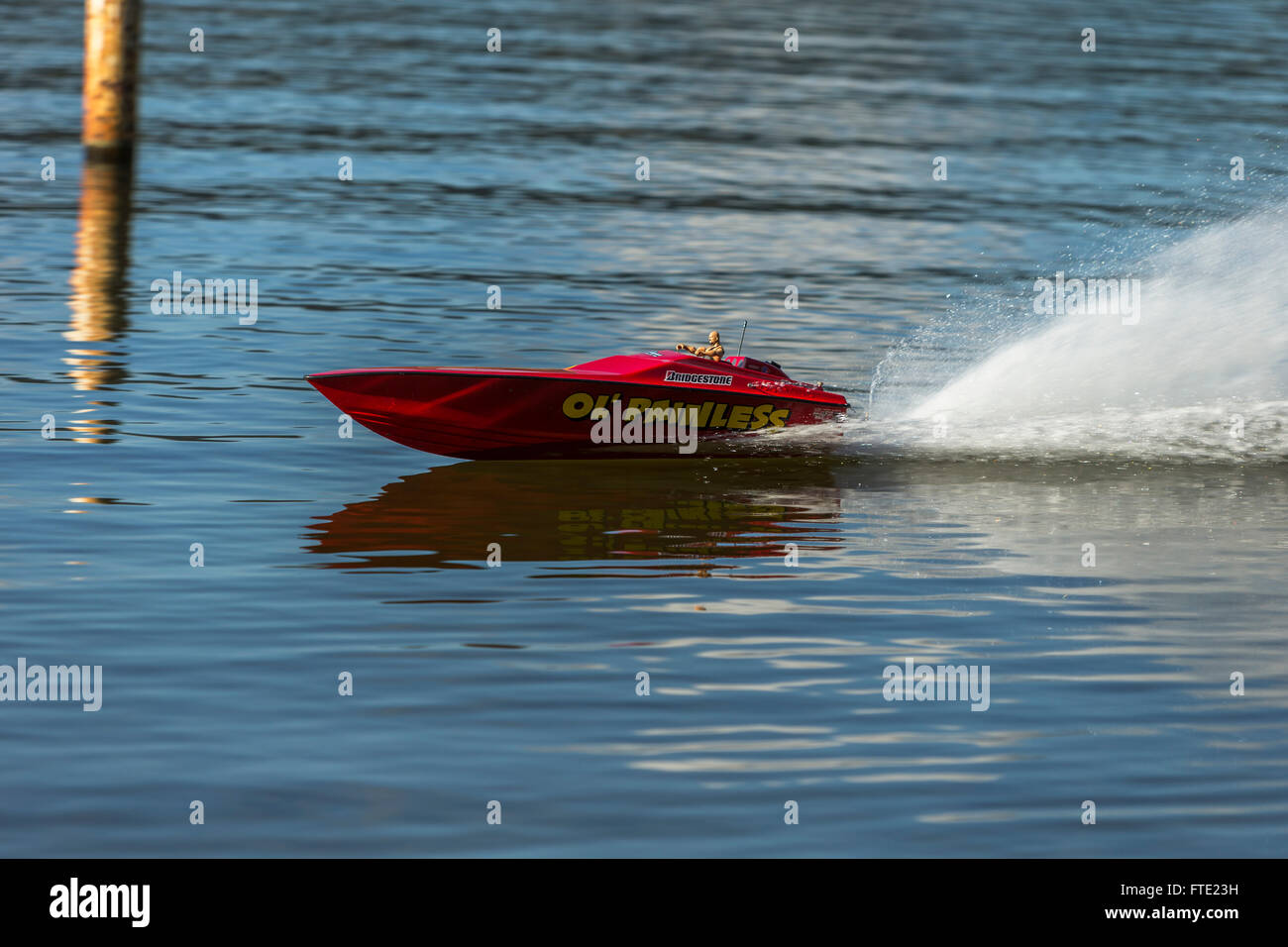 Remote controlled speedboat speeding along Elk Lake-Victoria, British Columbia, Canada. Stock Photo