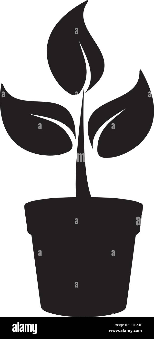 vector illustration of a pot with a plant Stock Vector Image & Art - Alamy