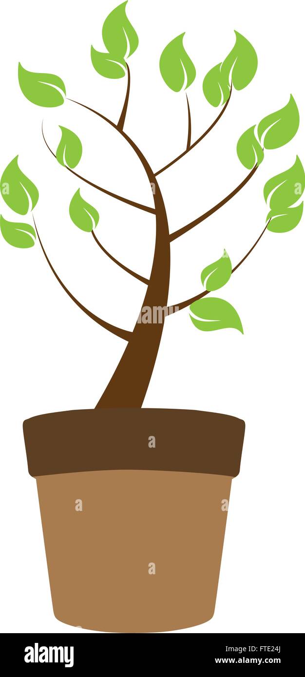 vector illustration of a pot with a plant Stock Vector Image & Art - Alamy
