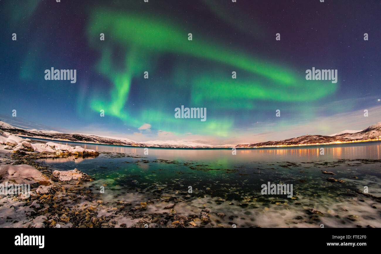 Rowan romeyn Stock Photos & Images from Alamy