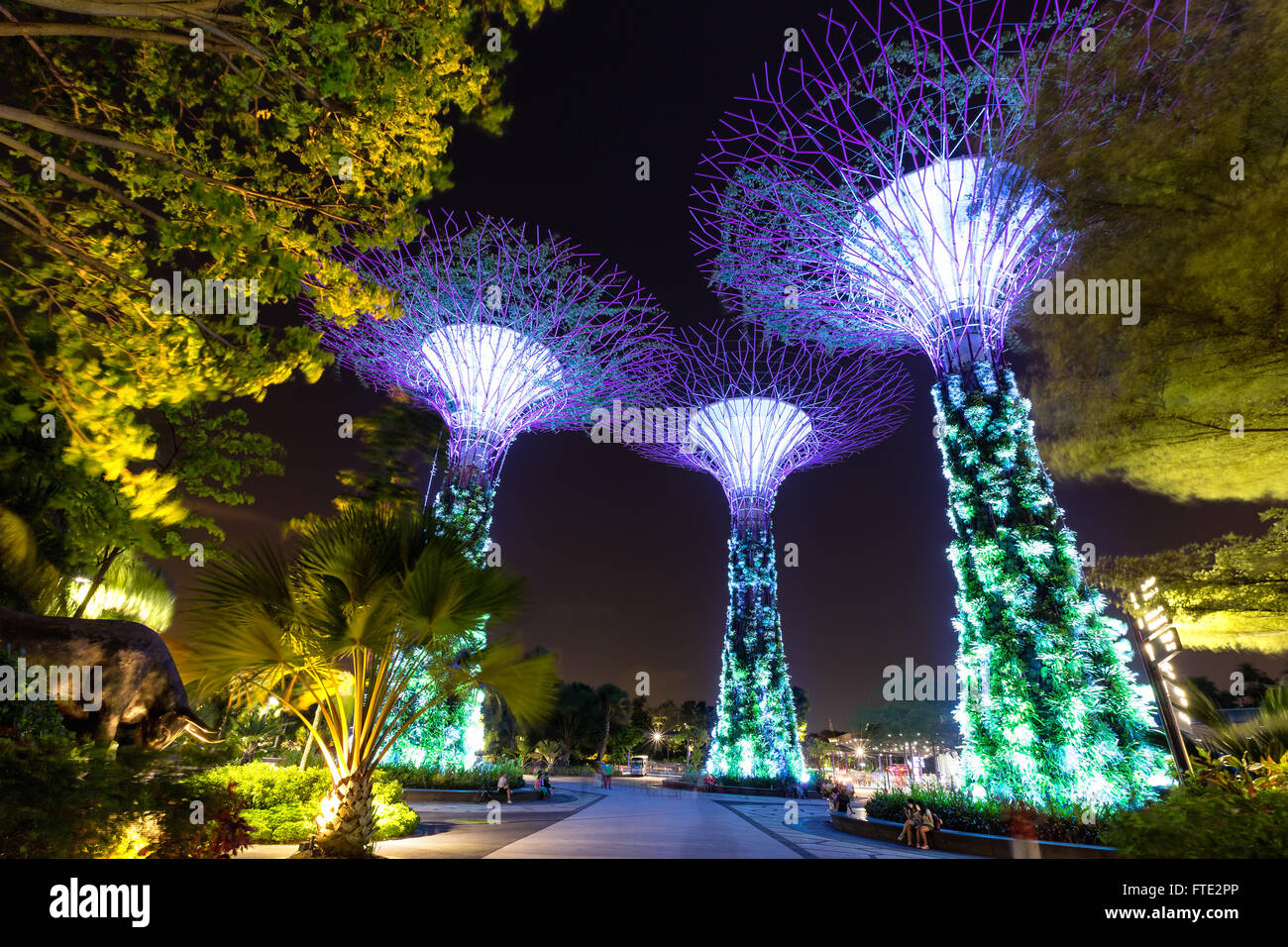 Supertree Grove in Gardens by the Bay in Singapore Stock Photo
