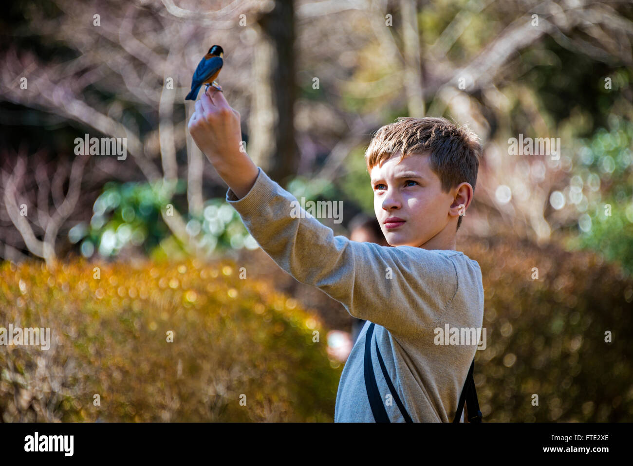 Boy with wild bird perched on his hand Stock Photo