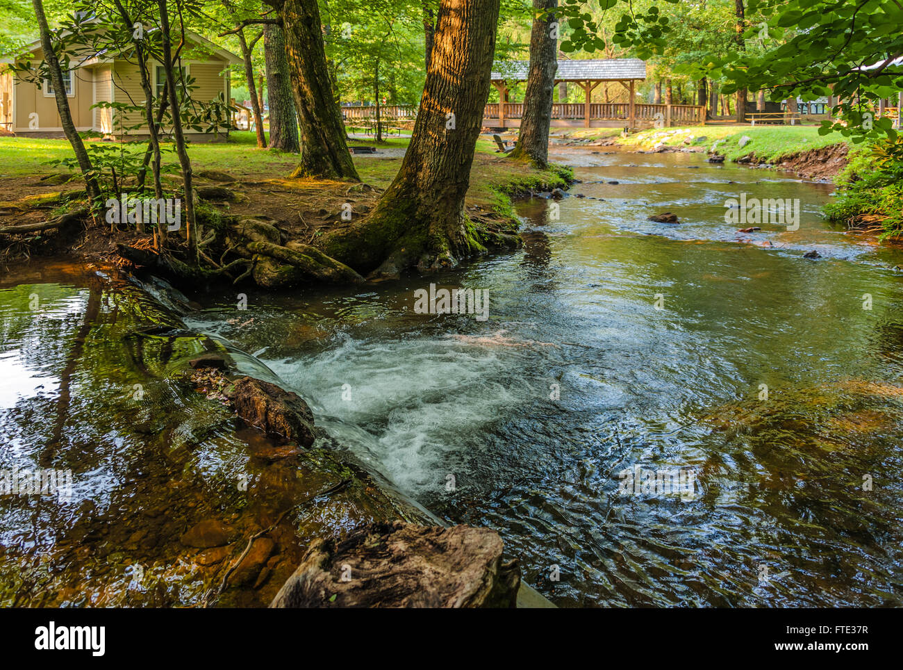 Cabin Footbridge And Flowing Stream At Beautiful Vogel State Park